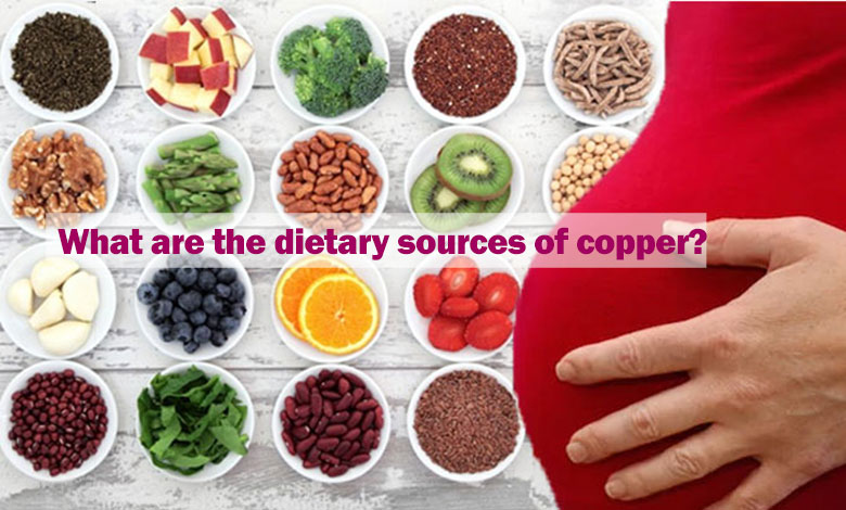 What are the dietary sources of copper?