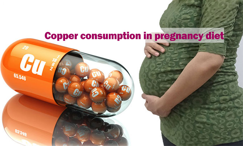 Copper consumption in pregnancy diet