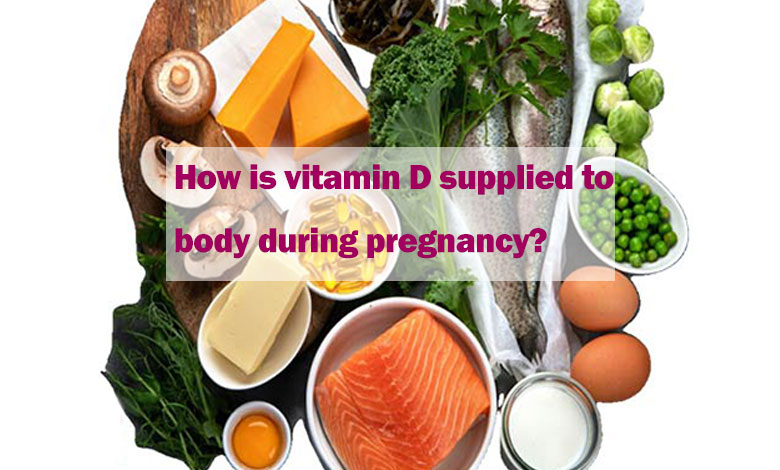 How is vitamin D supplied to the body during pregnancy?