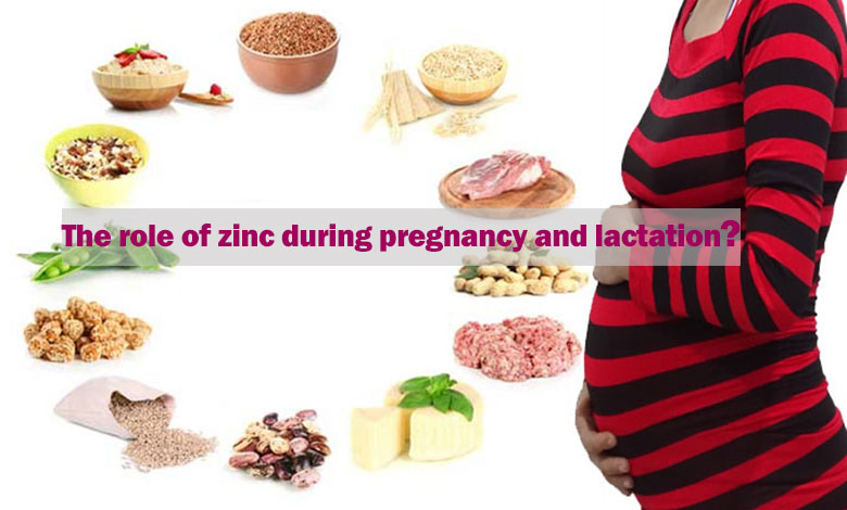 The role of zinc during pregnancy and lactation