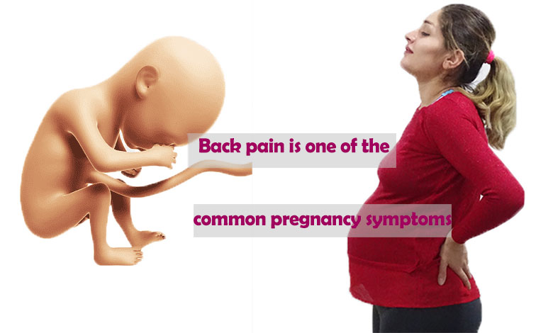 Back pain is one of the common pregnancy symptoms