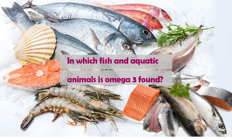 In which fish and aquatic animals is omega 3 found?