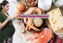 Protein in pregnancy diet