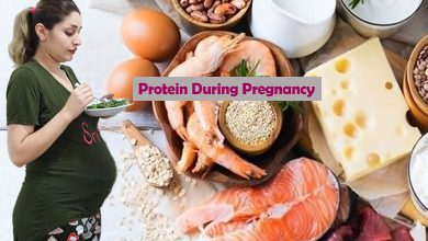 Protein in pregnancy diet