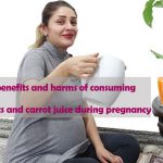 The benefits and harms of consuming carrots and carrot juice during pregnancy