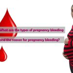 What are the types of pregnancy bleeding and the reason for pregnancy bleeding?