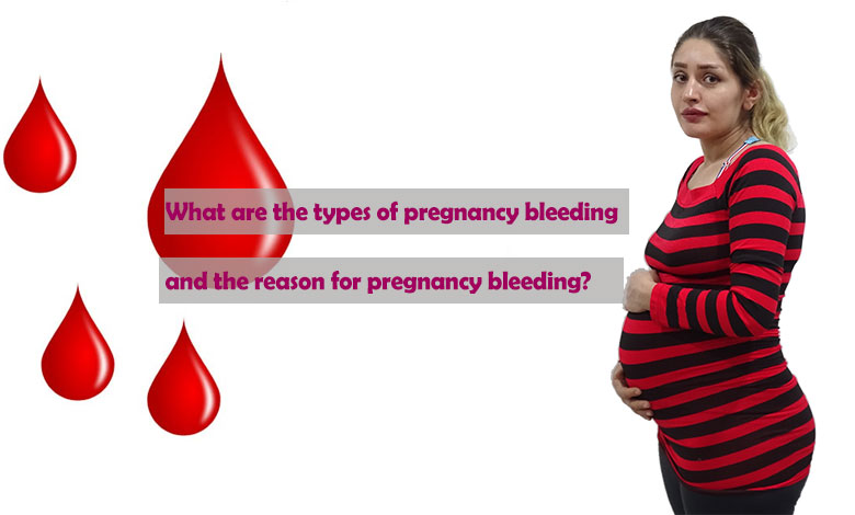 What are the types of pregnancy bleeding and the reason for pregnancy bleeding?