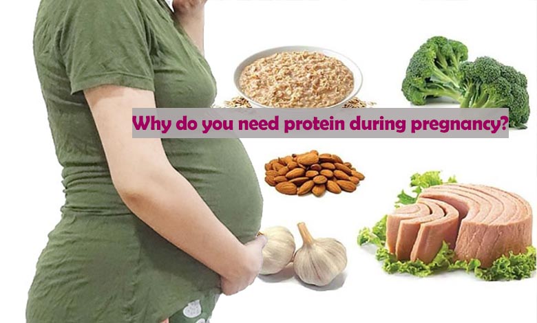 Why do you need protein during pregnancy?