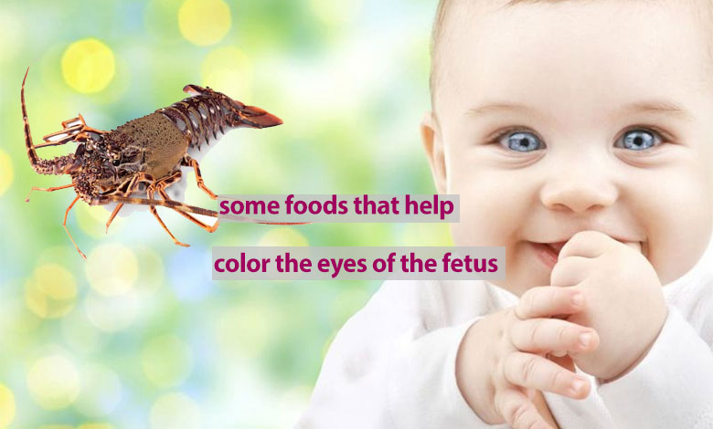 Below are some foods that help color the eyes of the fetus.