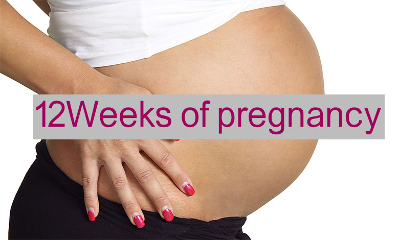 12 weeks of pregnancy