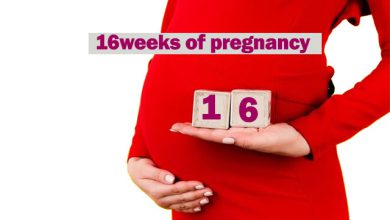 16 weeks of pregnancy: symptoms, tips and other things