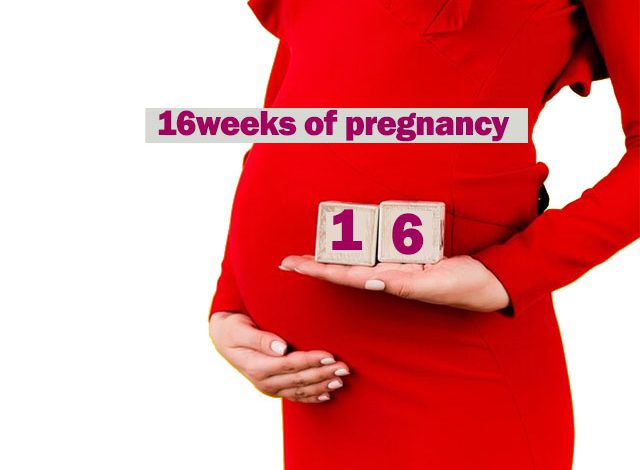 16 weeks of pregnancy: symptoms, tips and other things