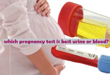 which pregnancy test is best urine or blood?